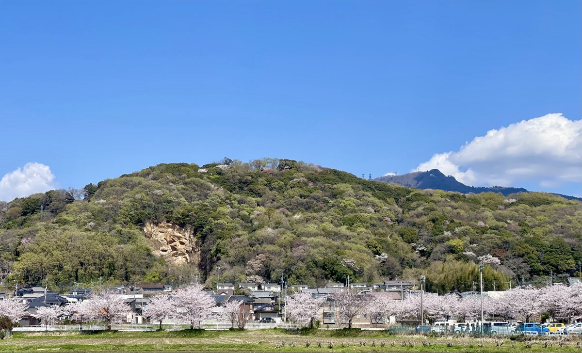 瑠璃香蘭 tweet media