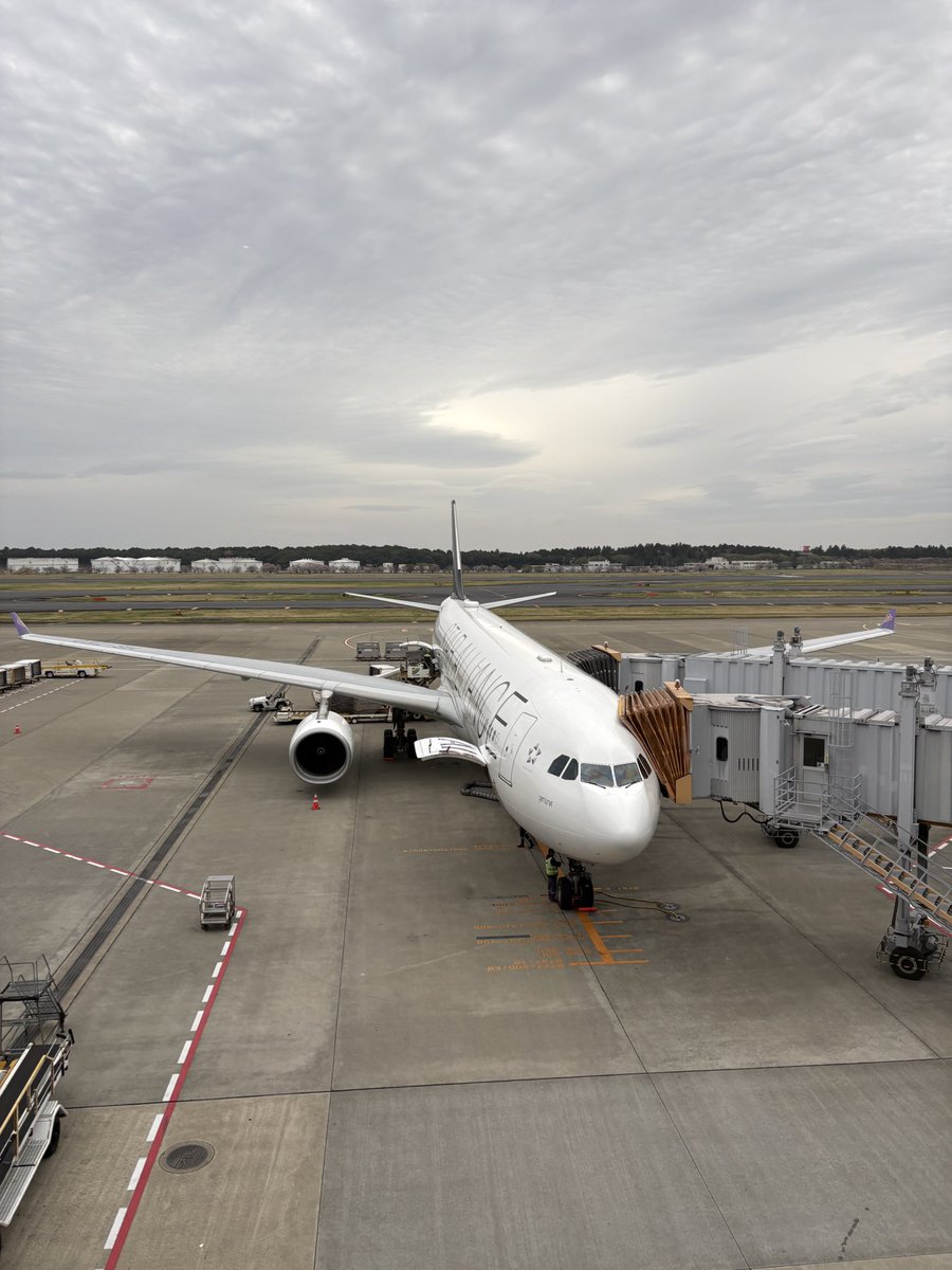 ソフビ屋のエンビー tweet media