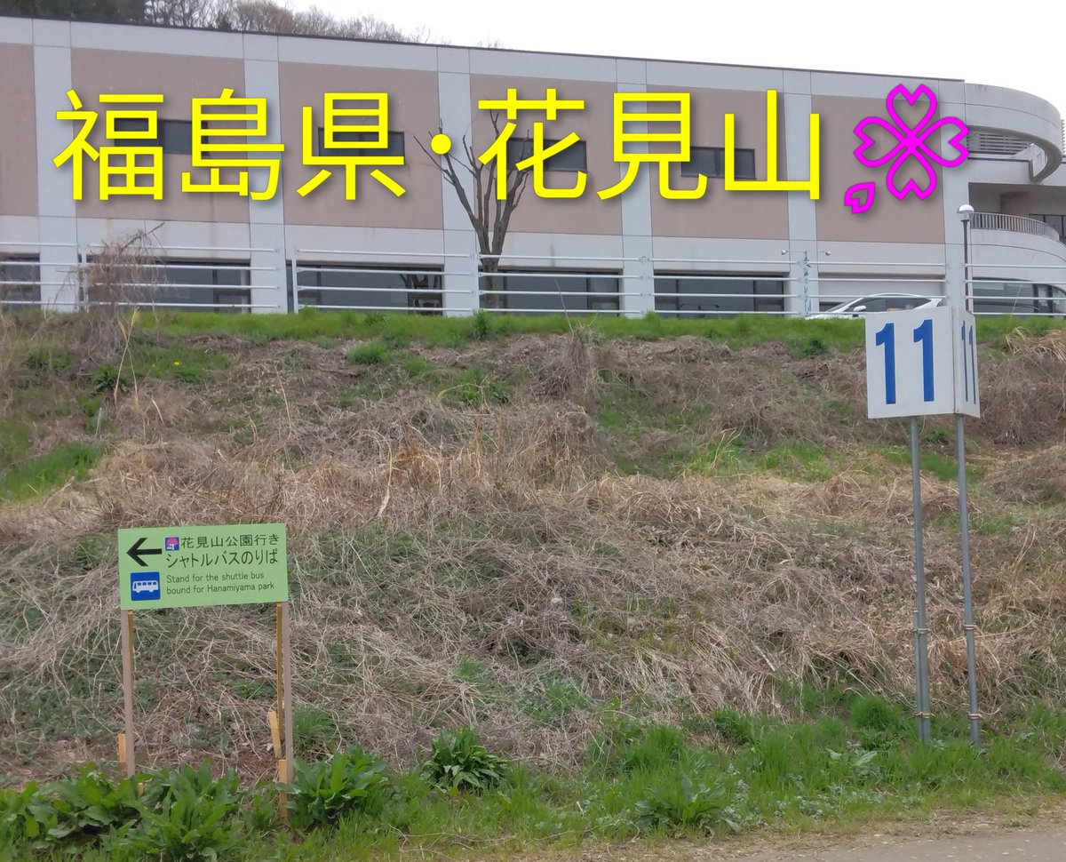 ジョエ tweet media