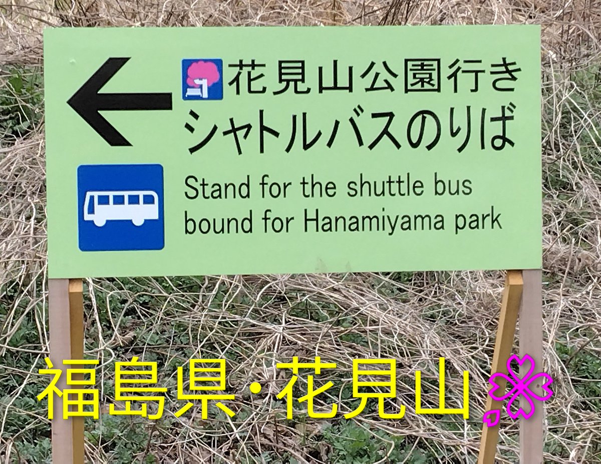 ジョエ tweet media