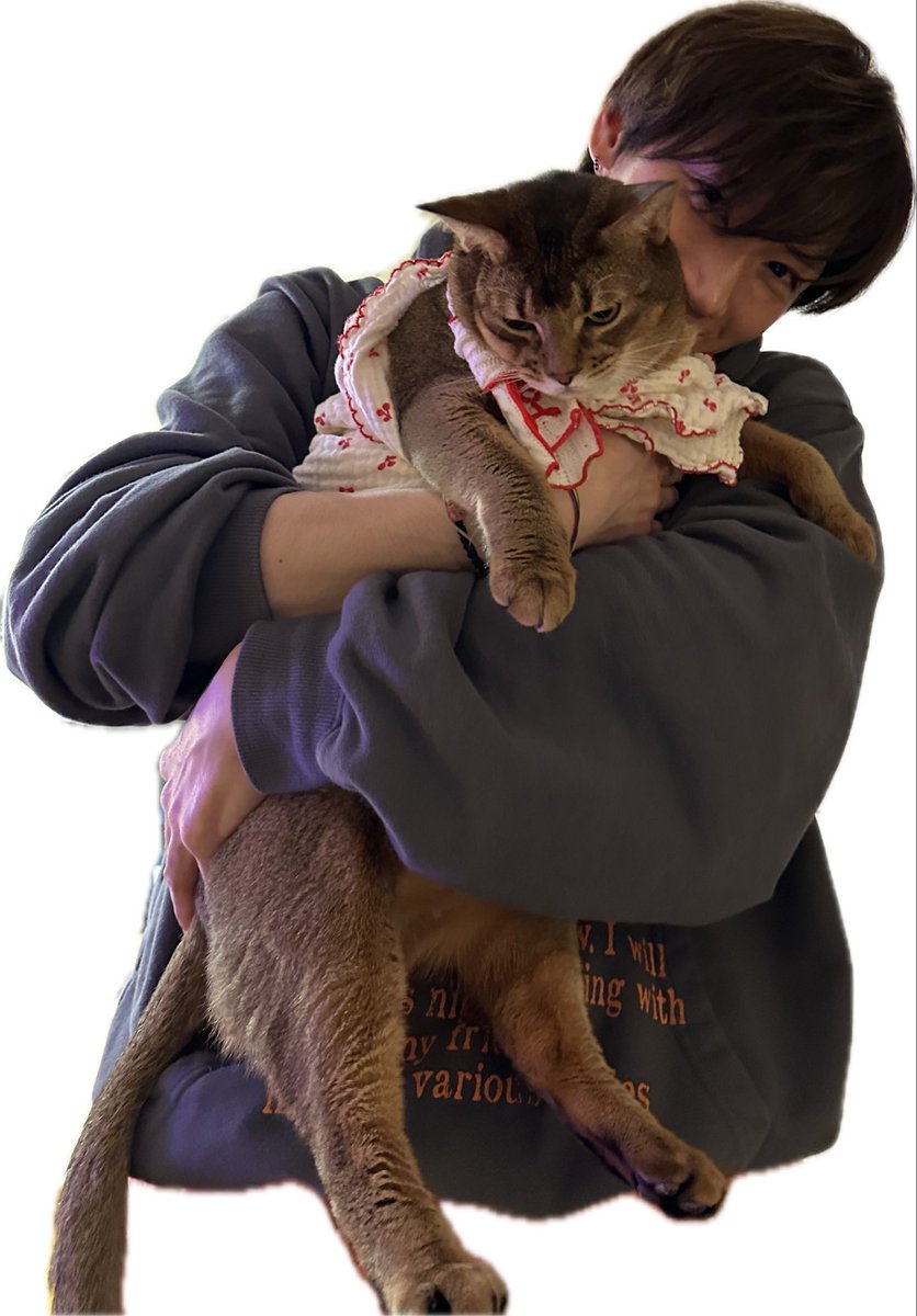 กาเบม tweet media