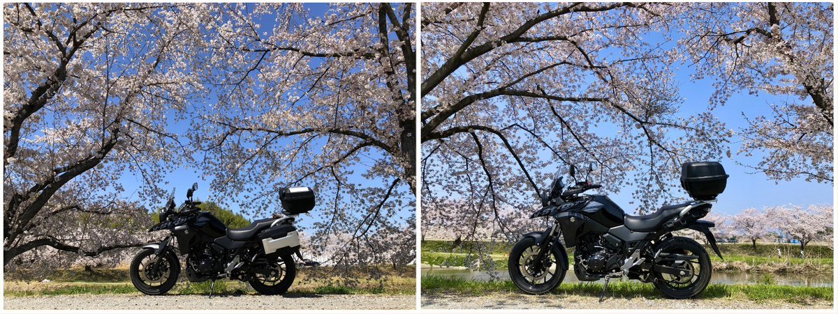 ☆ツバキッキ☆埼玉県の比企郡が好き♡好き♡Vストローム250乗り(・∀・)ニヤニヤ♡ tweet media