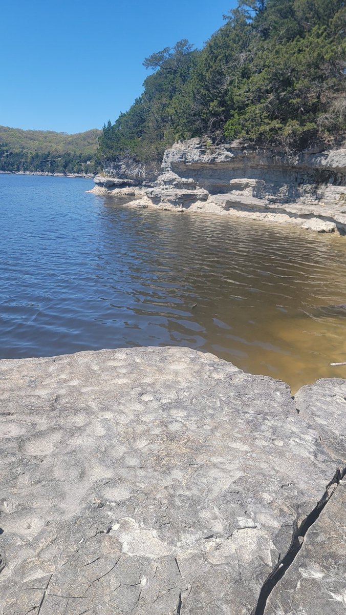 Table Rock tweet media