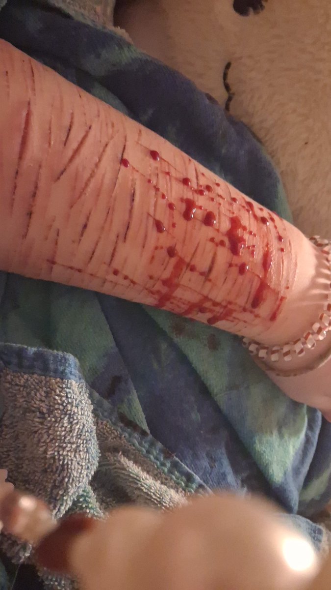 Mimi (。･´д`･。) tweet media