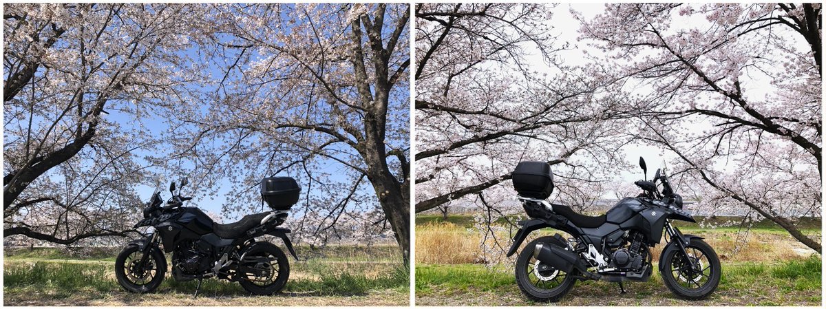 ☆ツバキッキ☆埼玉県の比企郡が好き♡好き♡Vストローム250乗り(・∀・)ニヤニヤ♡ tweet media