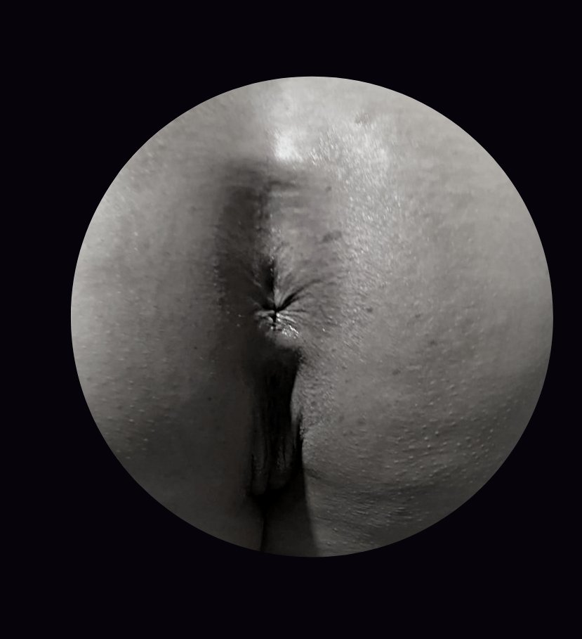 Monkey •D• Pulgas ® 🇲🇽 tweet media