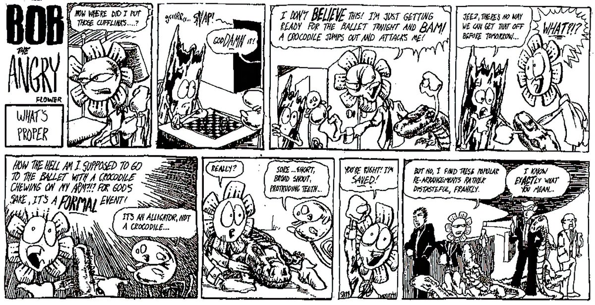 (Hopefully) daily Bob the angry flower panels tweet media
