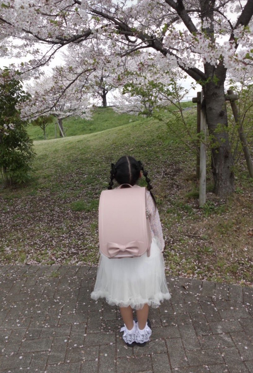 葛飾ジータ tweet media