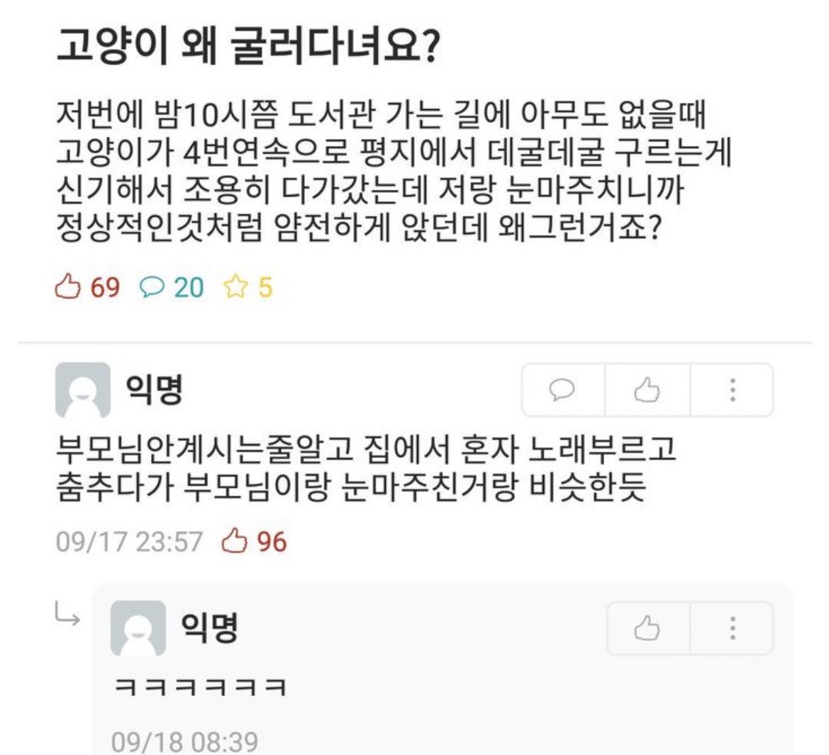 짤백업용 tweet media