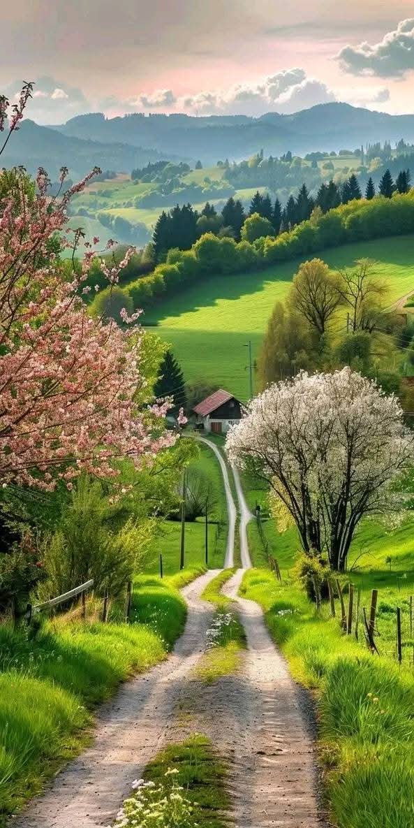 Khadim hussain tweet media