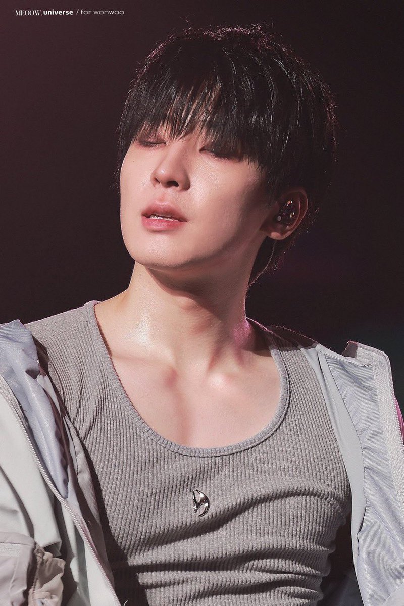 담담한 원우🐈⬛🧣 tweet media