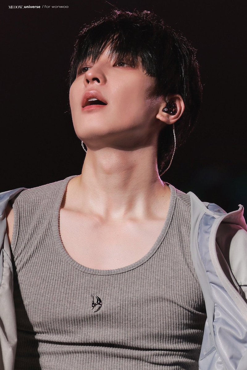 담담한 원우🐈⬛🧣 tweet media