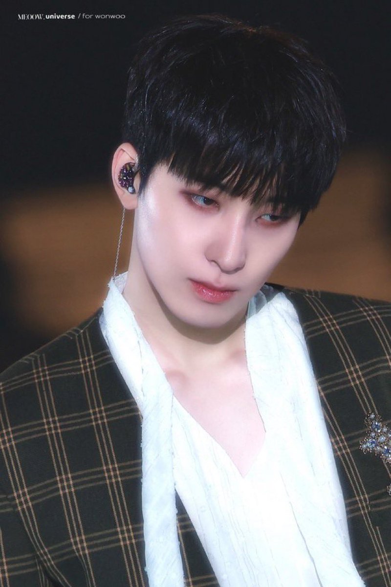 담담한 원우🐈⬛🧣 tweet media