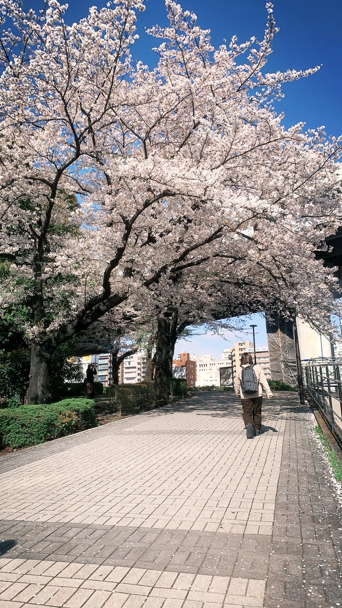 Ivy 🍄《 ARP 》 tweet media