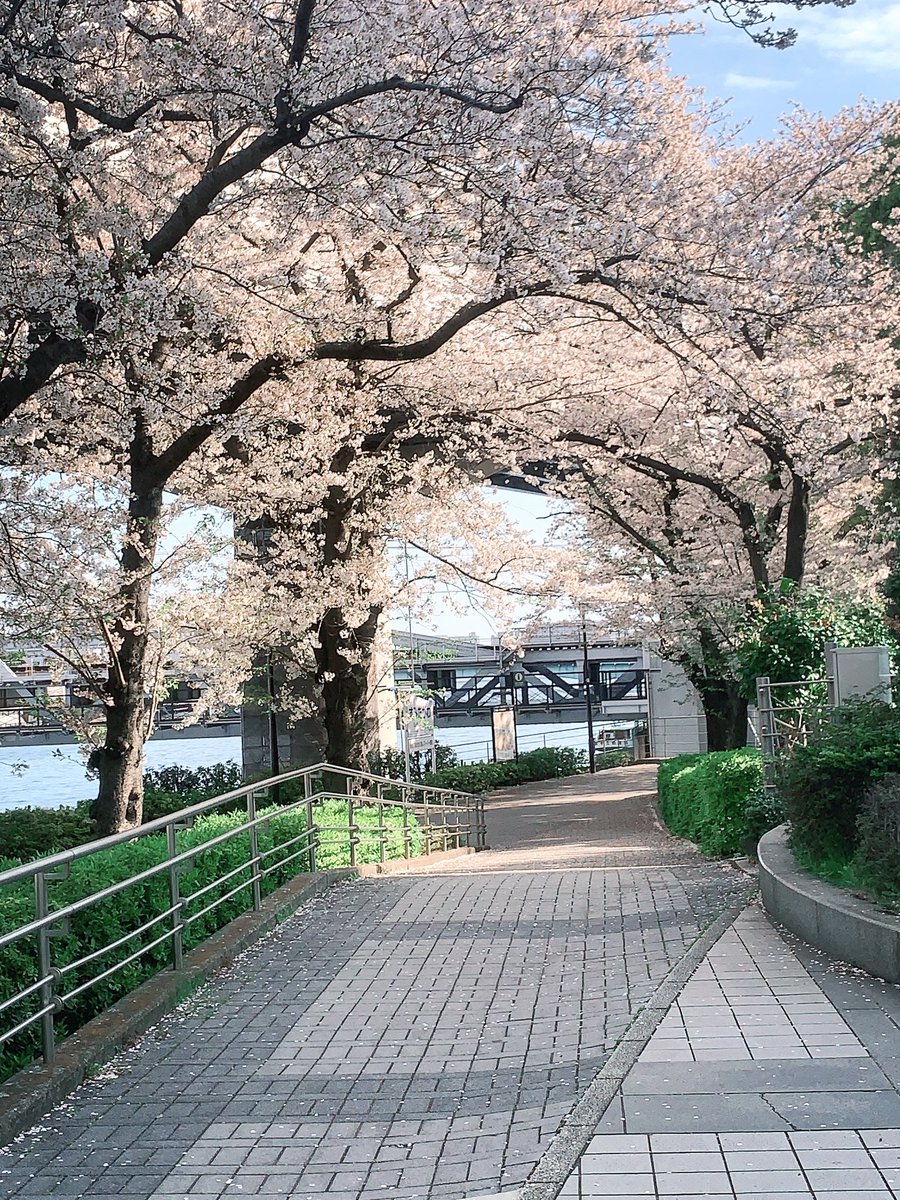 Ivy 🍄《 ARP 》 tweet media