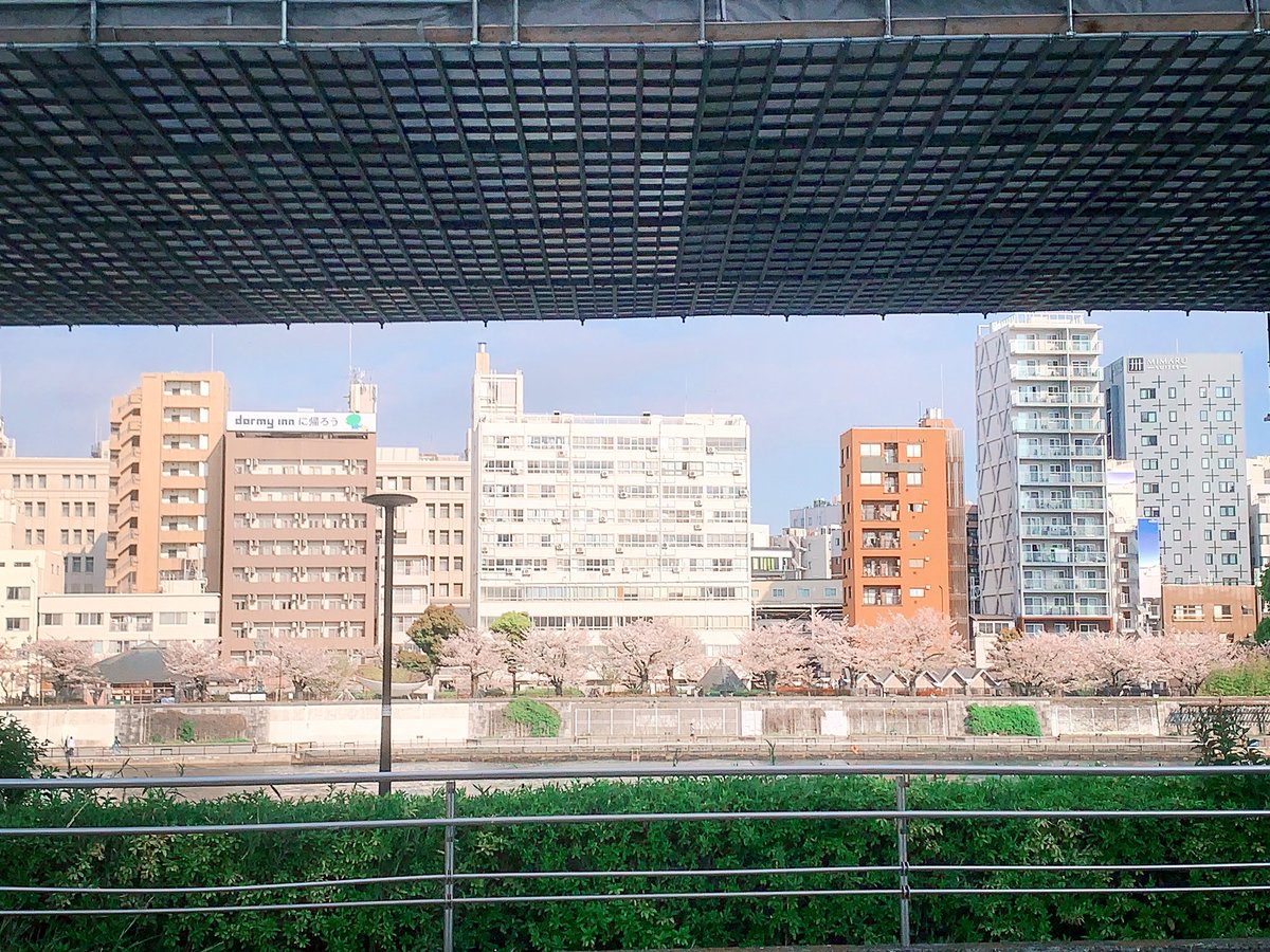 Ivy 🍄《 ARP 》 tweet media