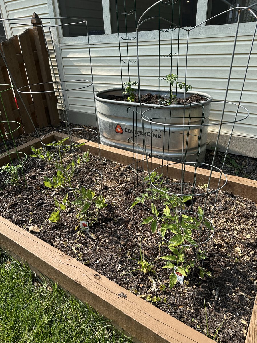 William Samples 🇺🇸 tweet media