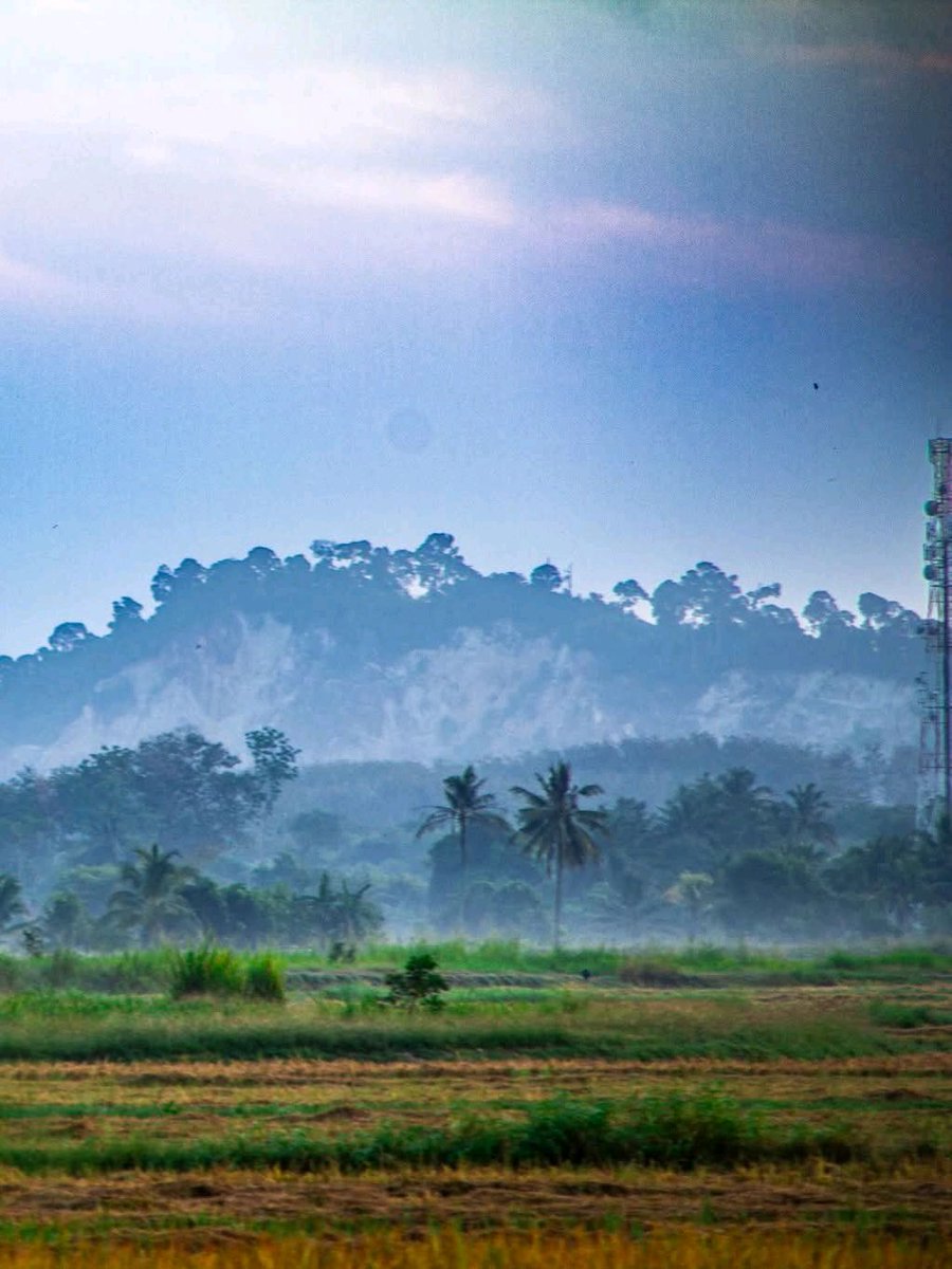 Perlis Permai tweet media