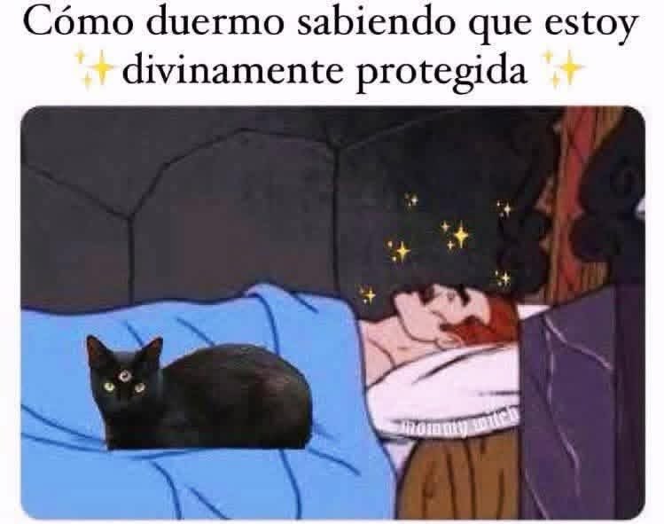Dilo con gatitoz (@dilocongatitoz) on Twitter photo 
