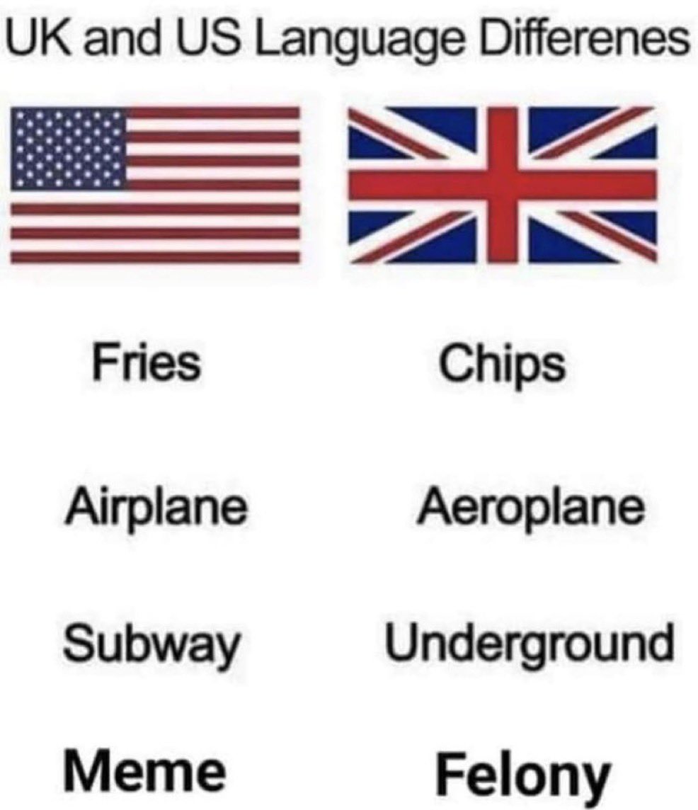 Tiffany Fong tweet media