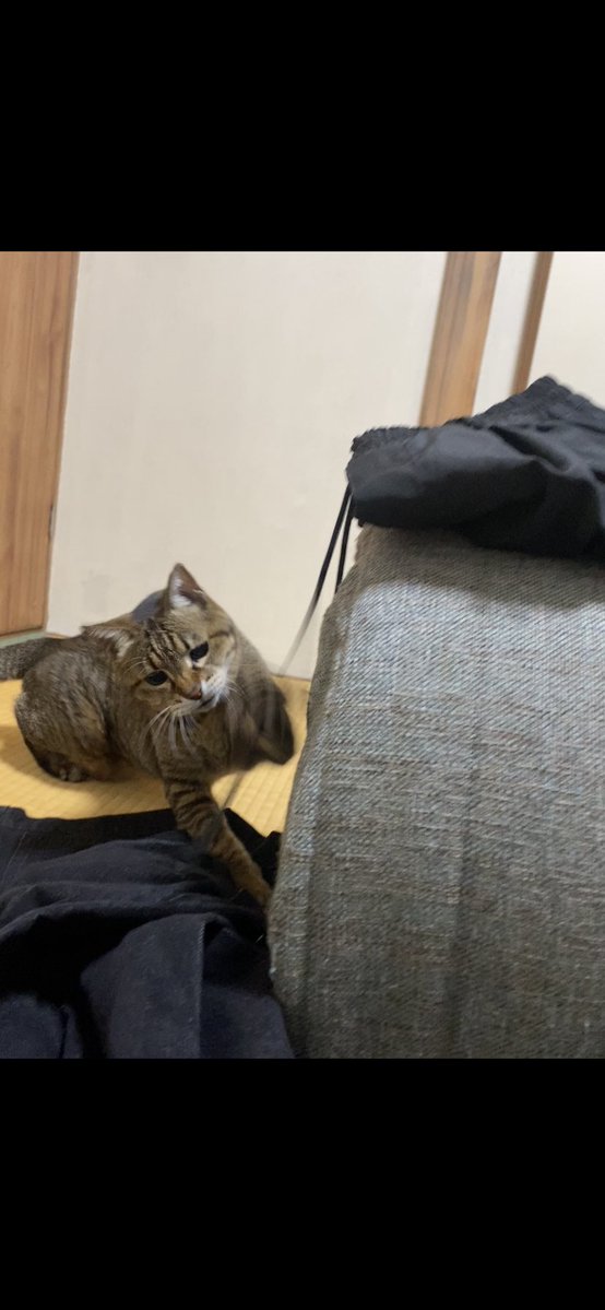 うちー𓅸 tweet media