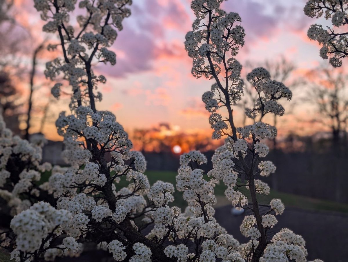 Wake Up NJ 🇺🇸 New Jersey tweet media