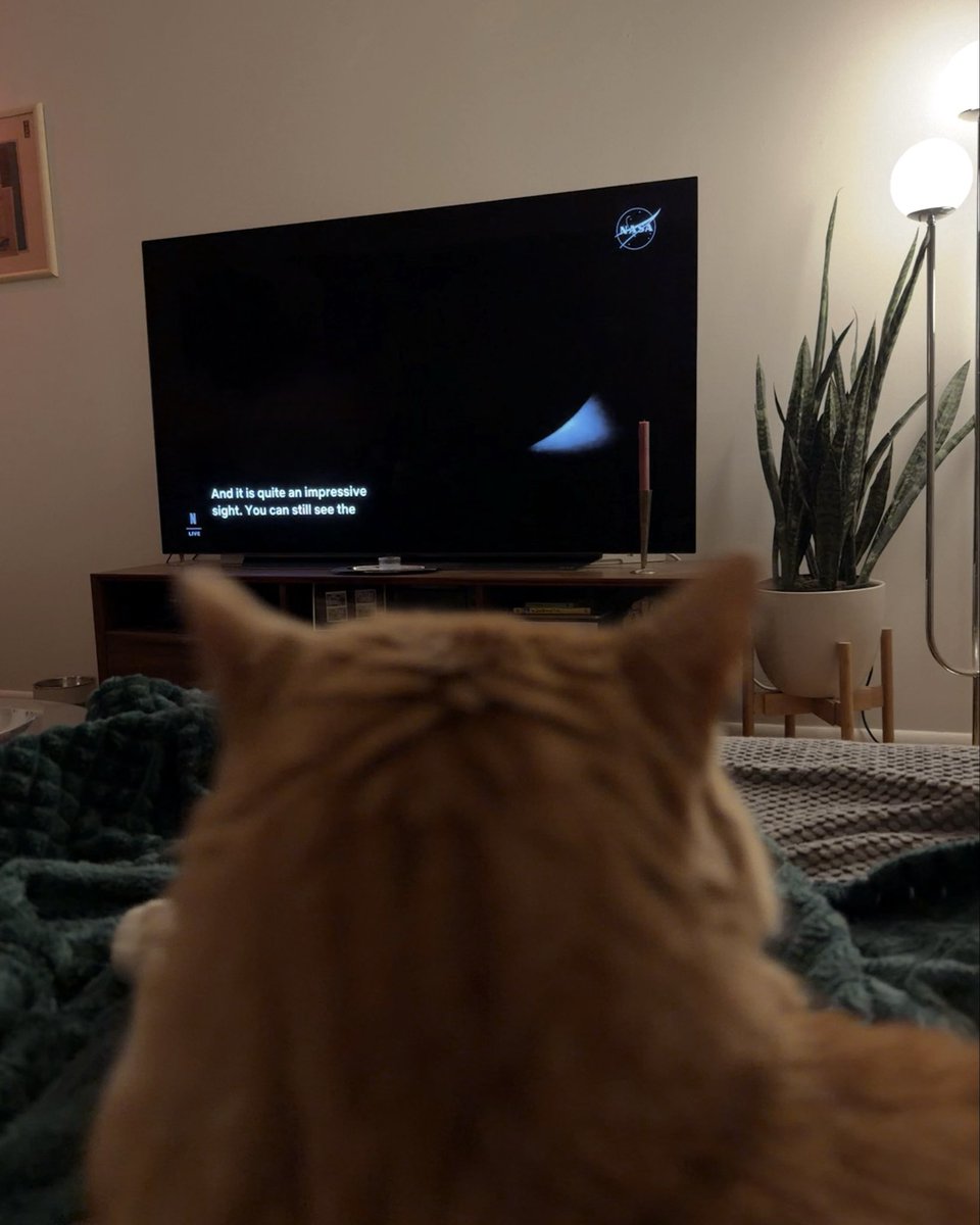 mariah ✷ tweet media