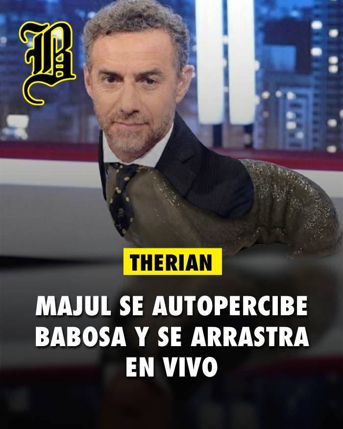 Revista Barcelona tweet media