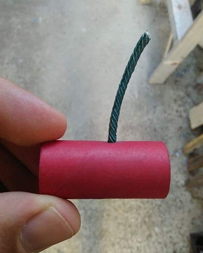 Trumplicans2024.com tweet media