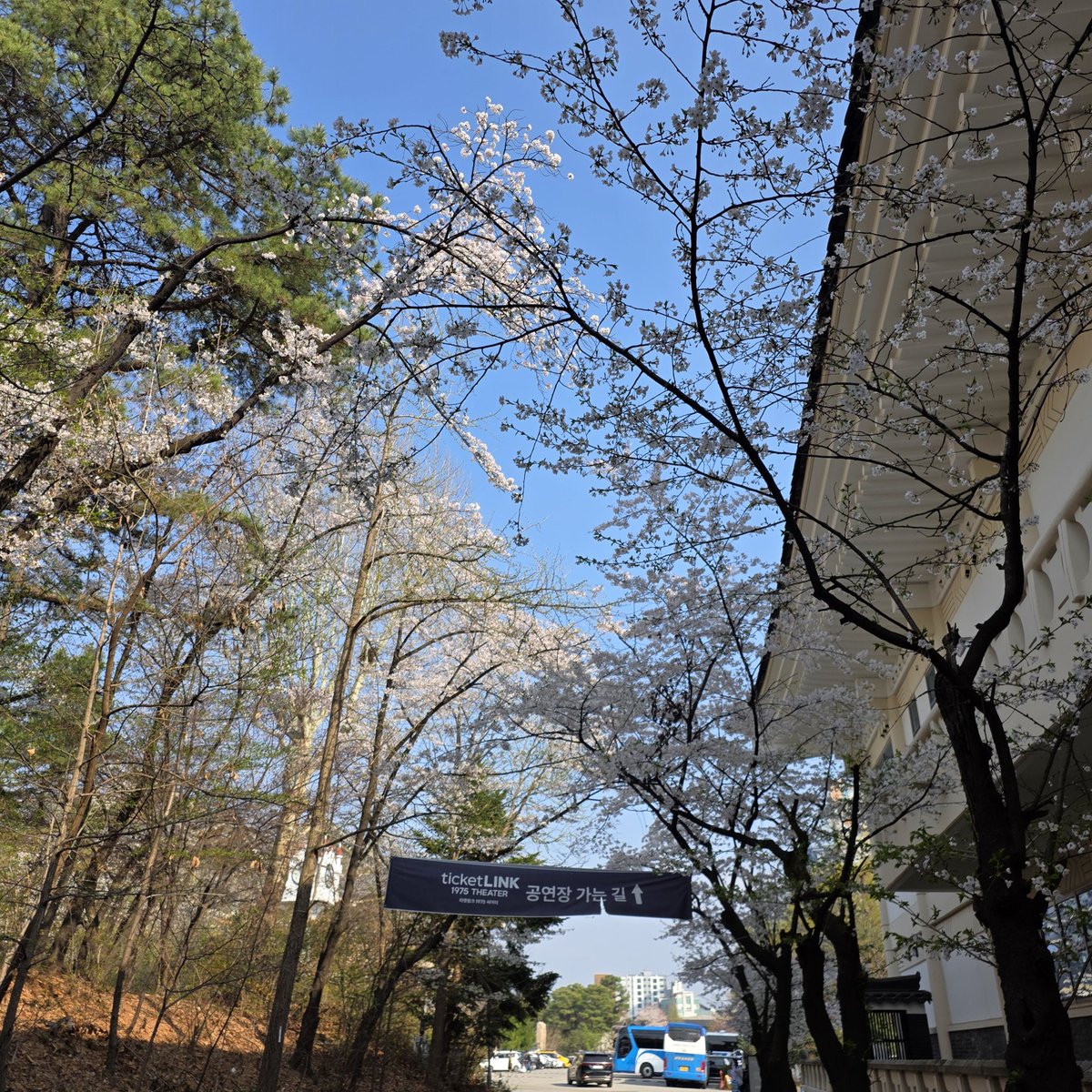 방랑외노자 tweet media