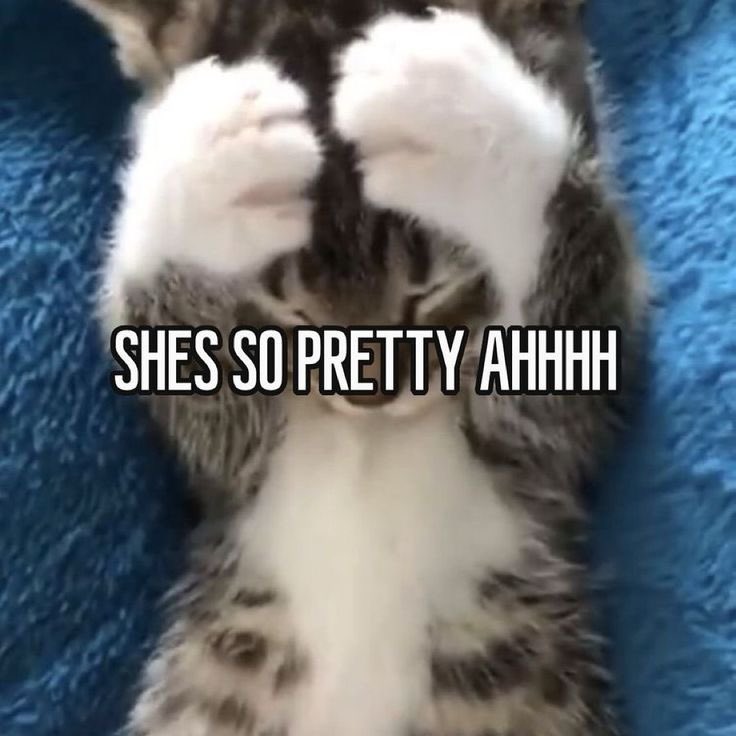 Simone Ashley Brasil tweet media