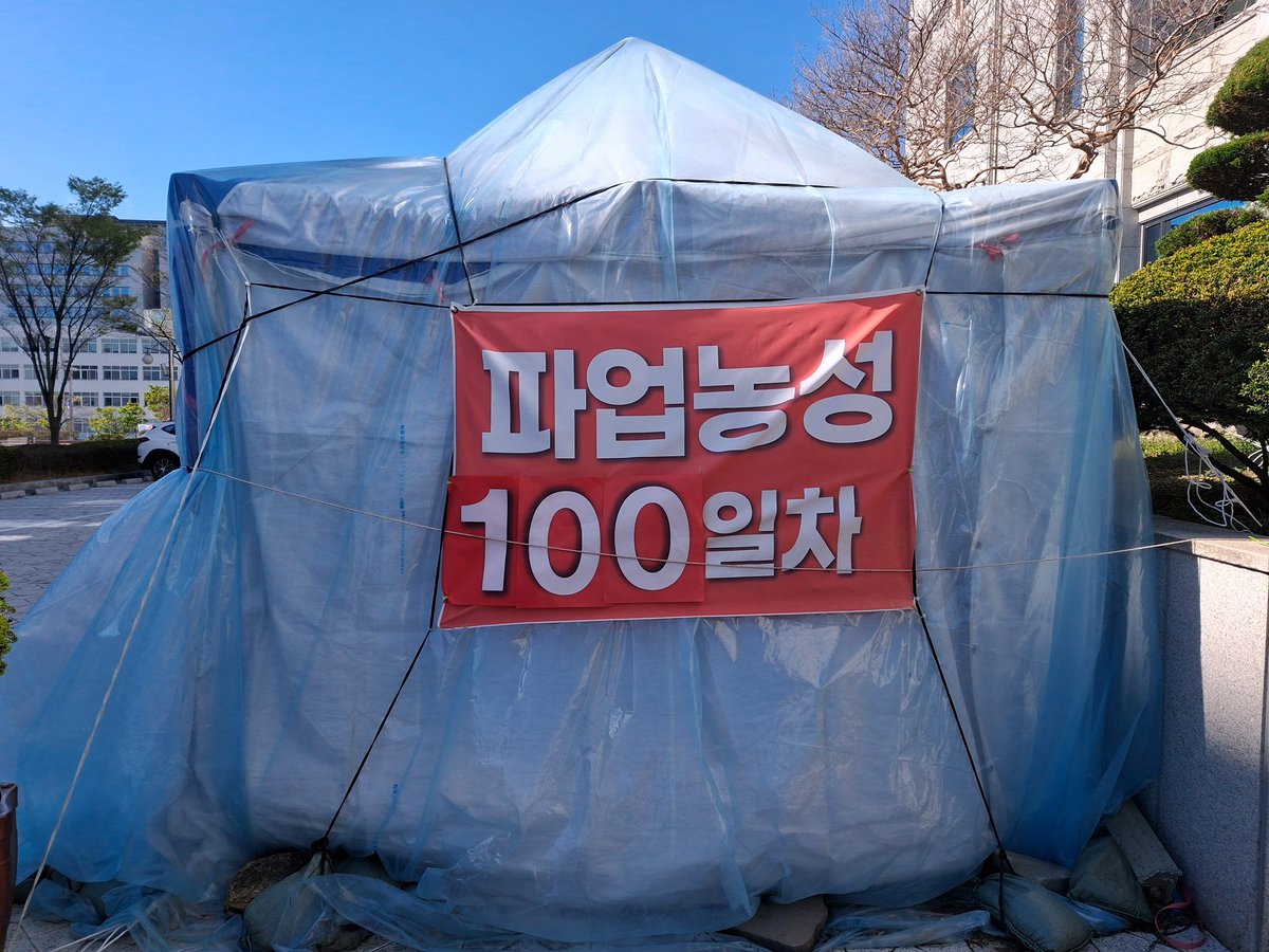 백지우사 tweet media