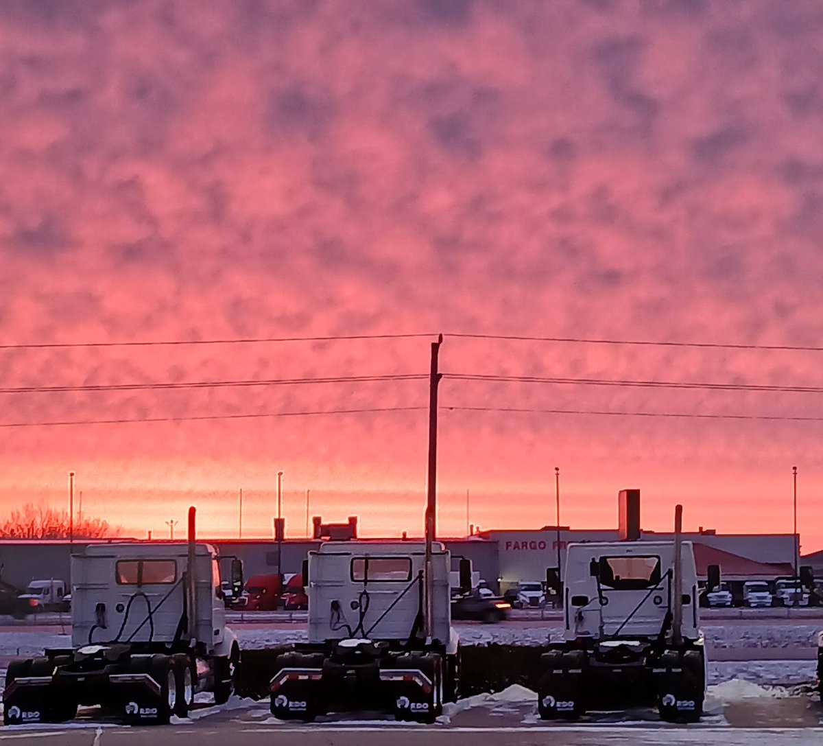 Dan Meckle tweet media