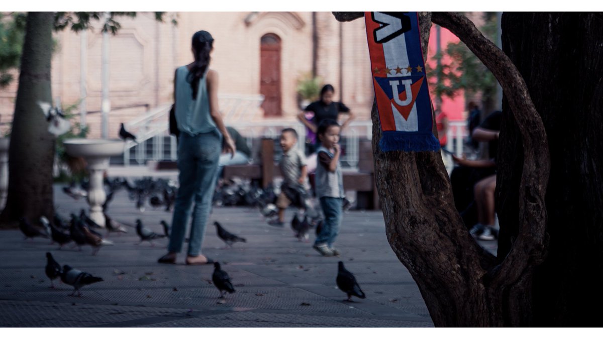 LDU Oficial tweet media