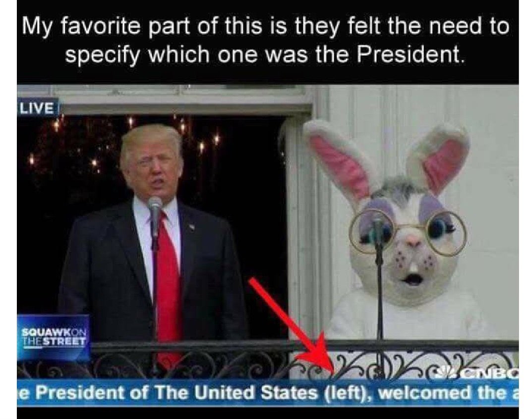 🌹Maribel tweet media