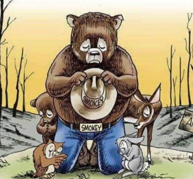 Cut, Cut, Cut: The US Forest Service manages 193 million acres of public land and produces the research that guides how we manage America’s forests. The Trump administration is now restructuring it in ways critics say will gut it and lead to the dismantling of our public...
1/6