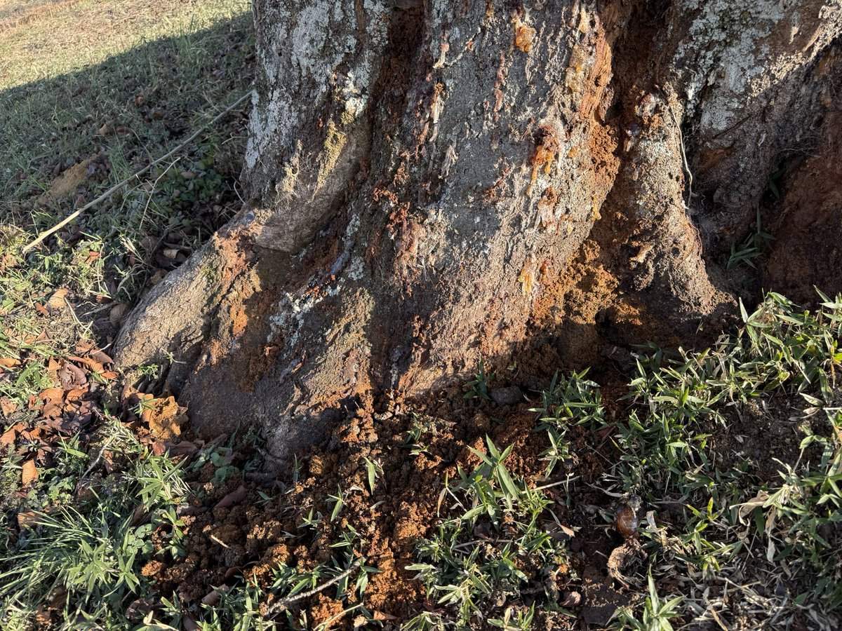 *  あ ぶ  * tweet media