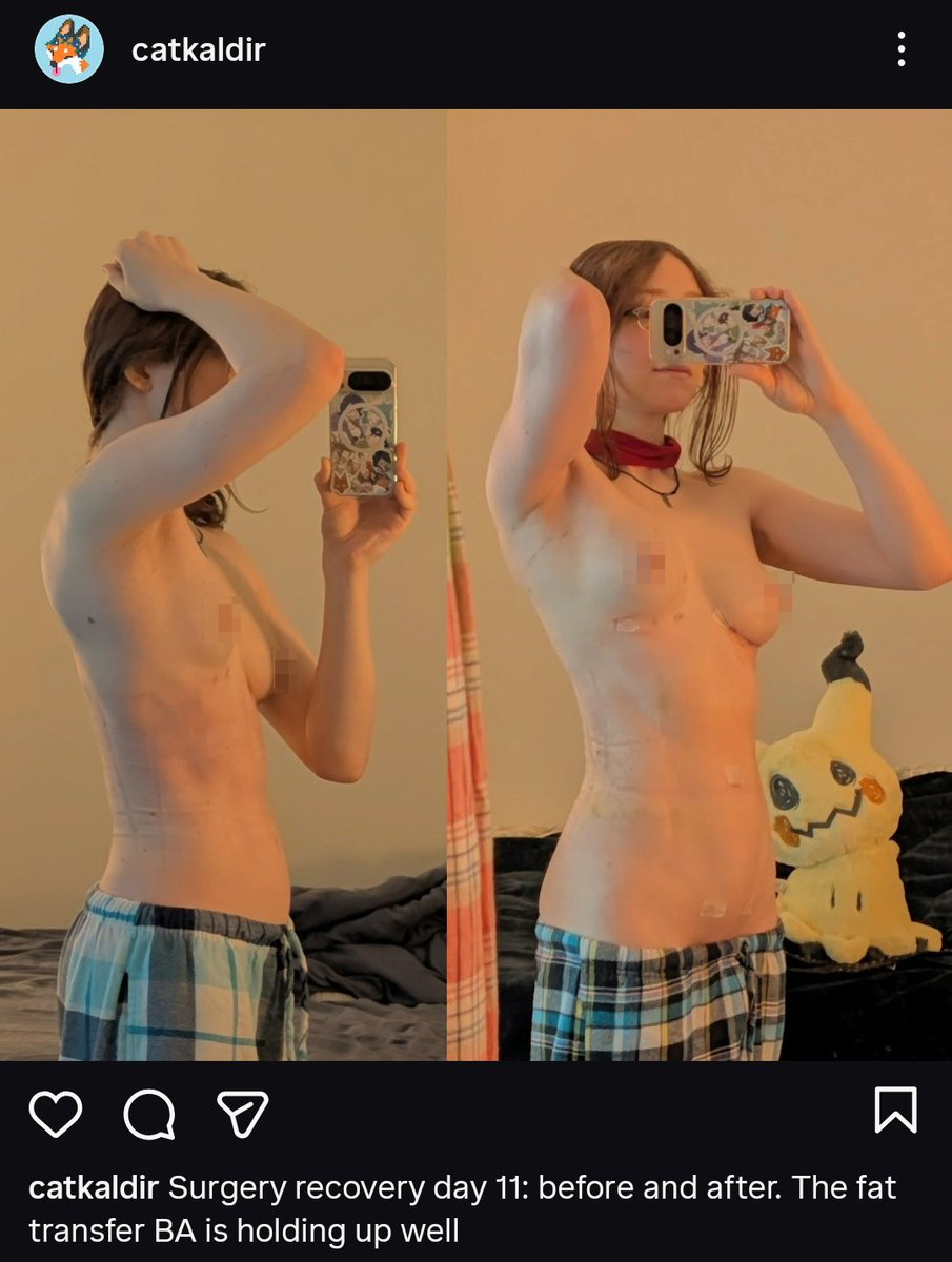 Fox Kaldir tweet media