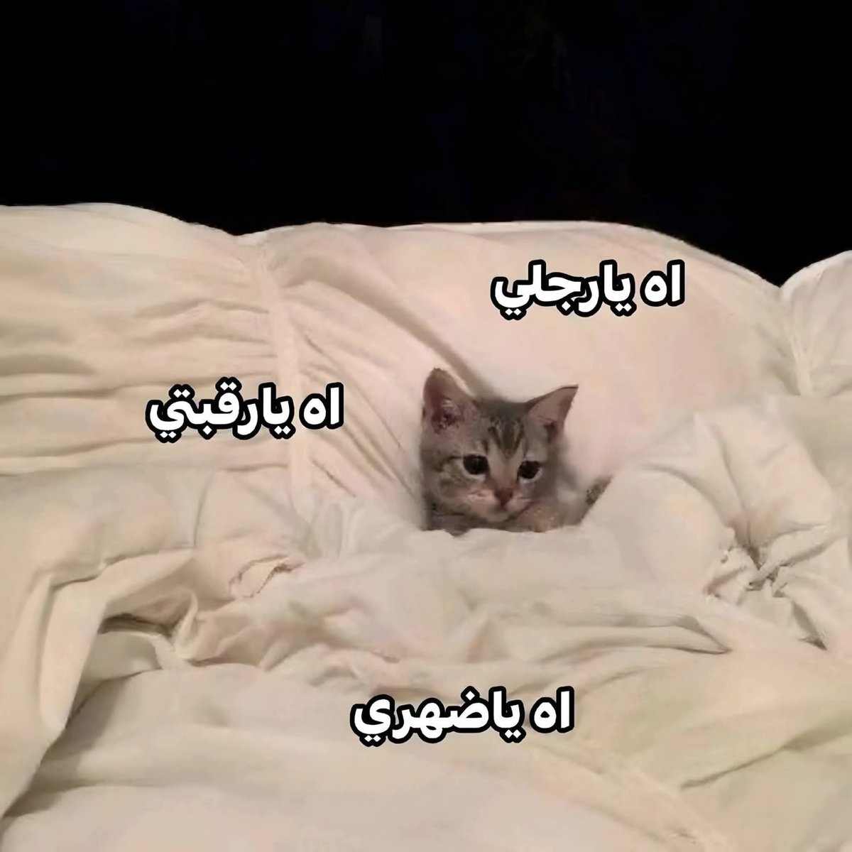 Nadooda🩷 tweet media