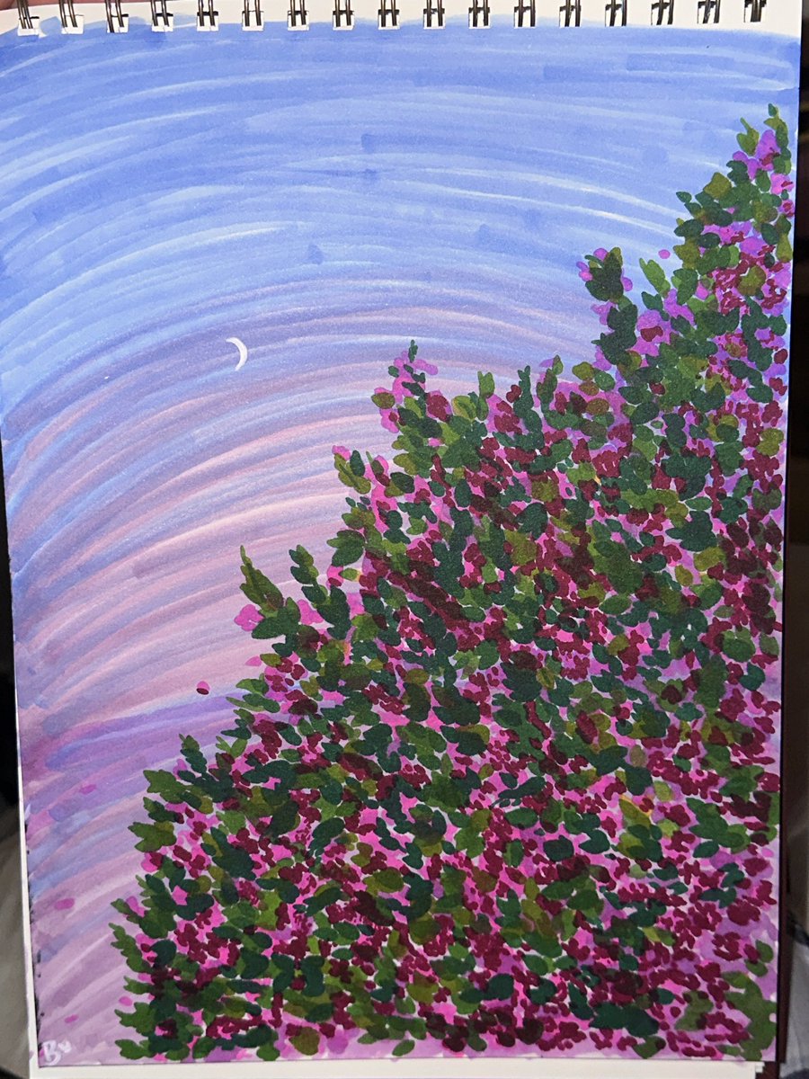 Brittany Venti tweet media