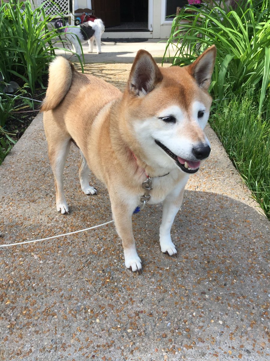 voidmixer_ tweet media