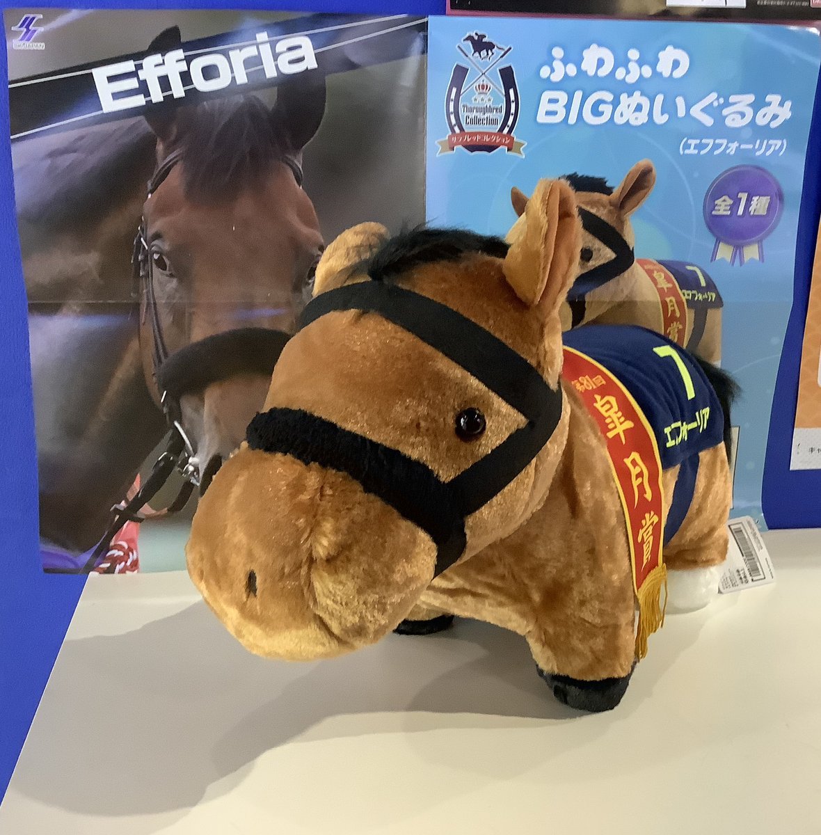 景品情報】 サラブレッドコレクションふわふわBIGぬいぐるみ（エフ