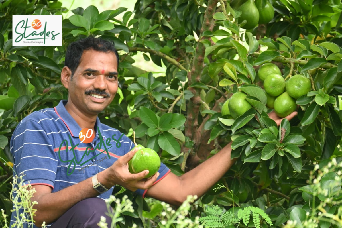 30stades's tweet image. Jalindar Jadkar took VRS from Tata Motors in 2020 and began avocado farming in Solapur, Maharashtra. He harvests around 100 kg of avocados per tree. He shares how he makes a profit of Rs 24 lakh from just one acre in the drought-prone area:

30stades.com/farming/ex-tat… #avocado