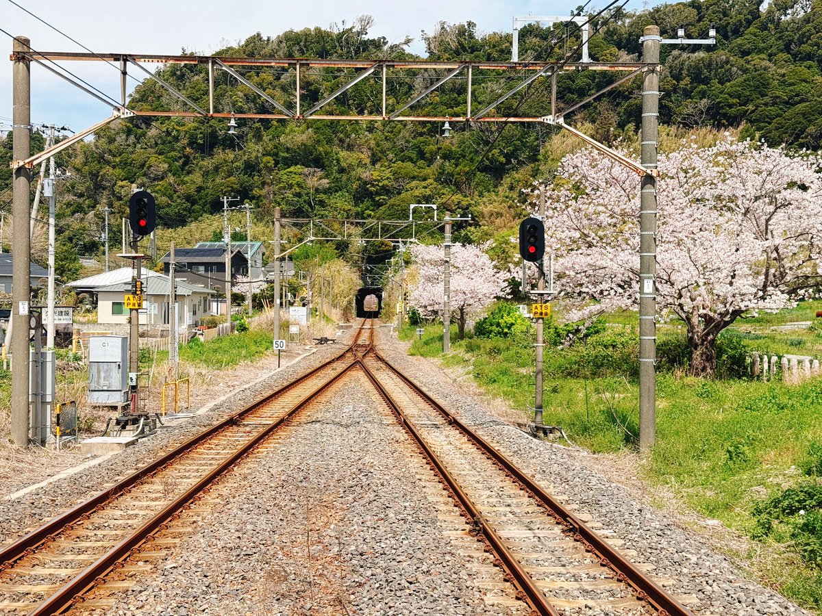 じんじん的ななにか tweet media