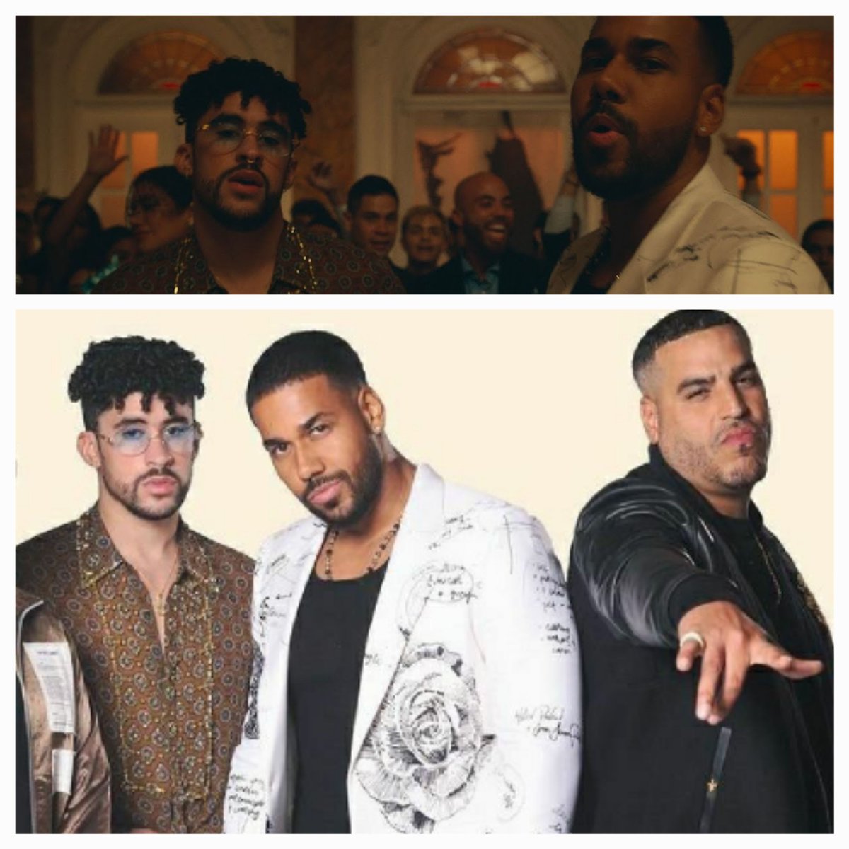 White Dominican tweet media