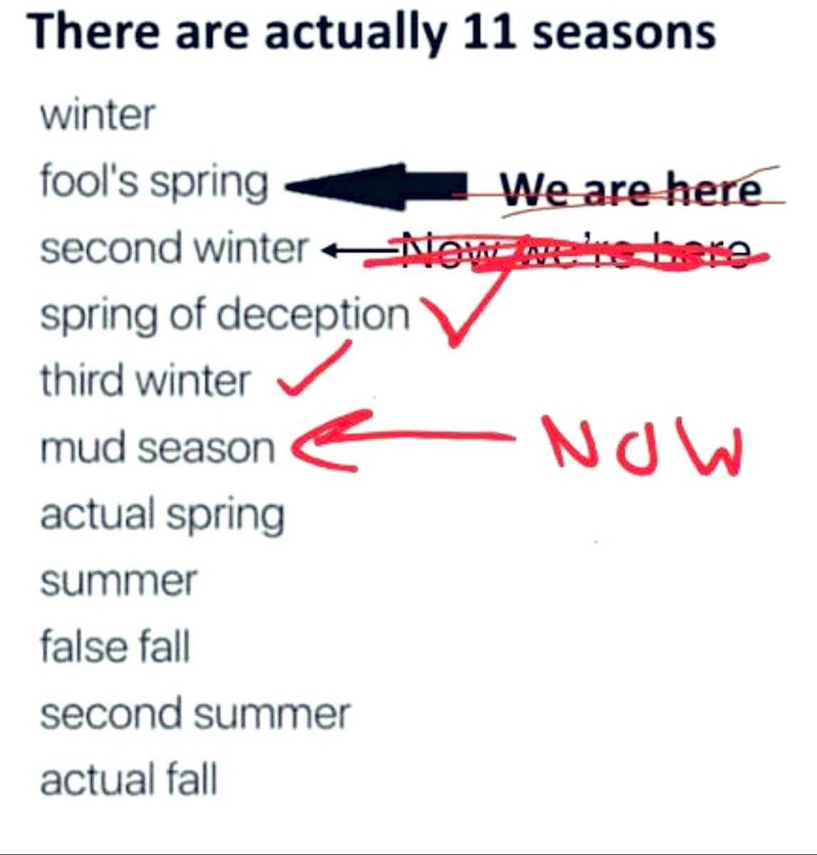 ♡𝕣ꪖꪜꫀꪀ ડ᭙ꪖꪶꪶꪮ᭙ડ♡ tweet media