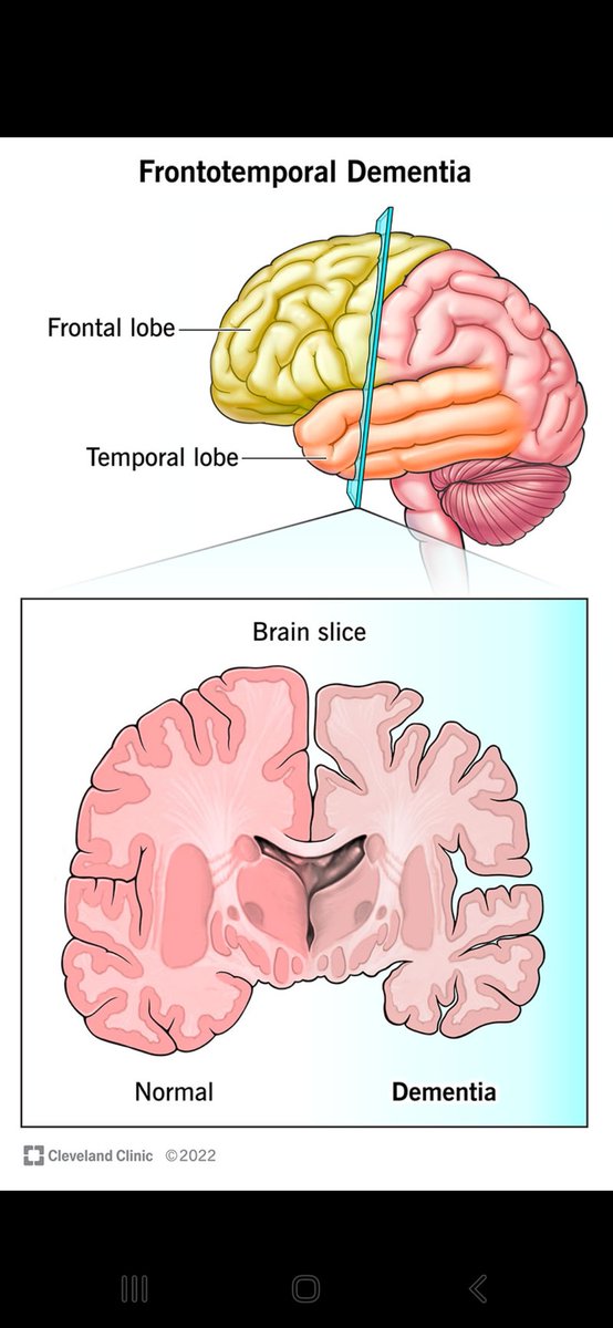 Omar MaLuk SaLem🐐 tweet media