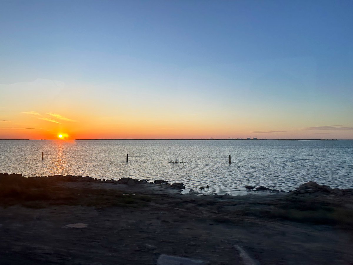 Mark Federschmidt tweet media