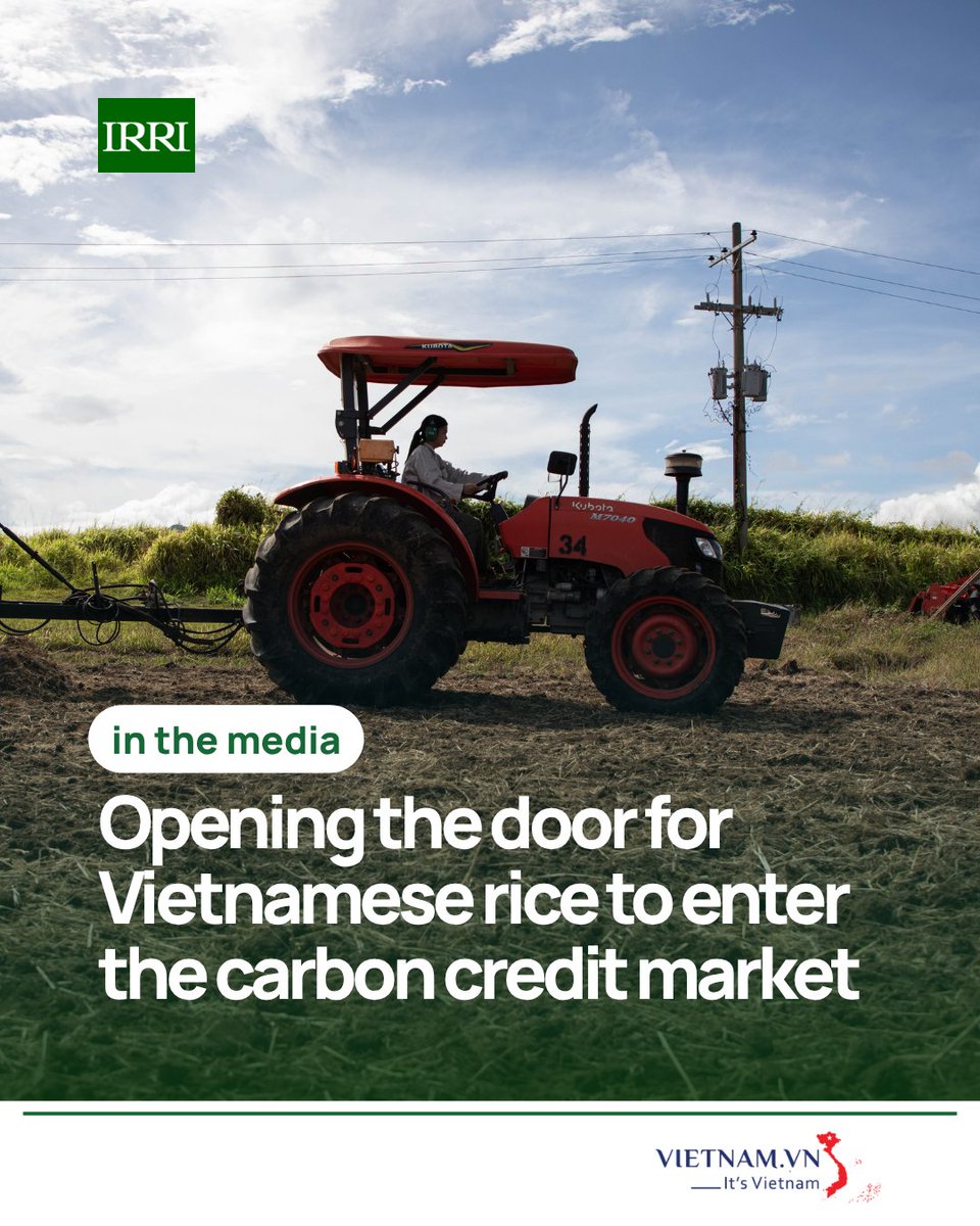 In the media: As part of the 1M Ha Rice Program in the Mekong River Delta, a “proper fertilization” model in Can Tho City is delivering promising results, boosting farmer profits for a transparent, low-emission, &amp; climate-resilient rice sector. 

🔗bit.ly/3NL8DAD