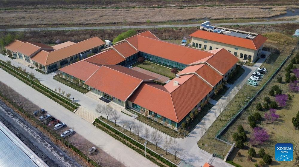 People's Daily, China tweet media